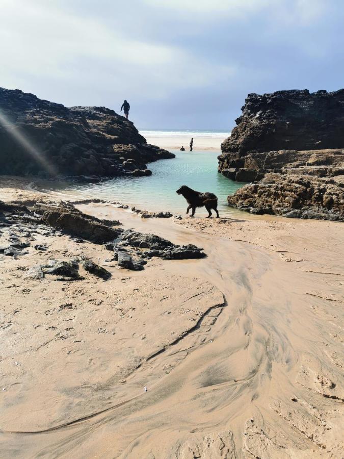 Captivating Isolde Cottage With Pool Near St Ives Camborne Eksteriør bilde